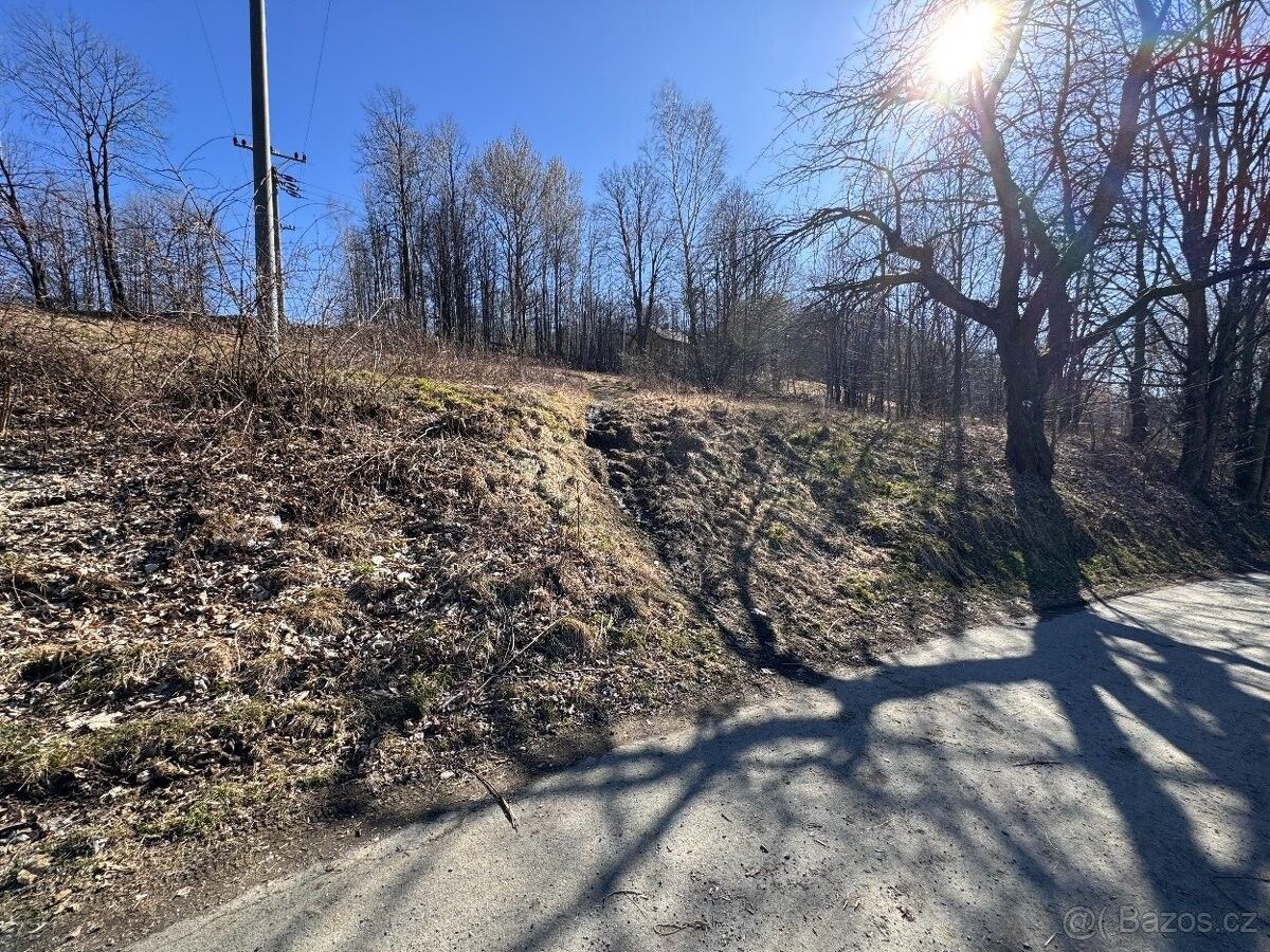 Prodej pozemek pro bydlení - Zlaté Hory v Jeseníkách, 793 76