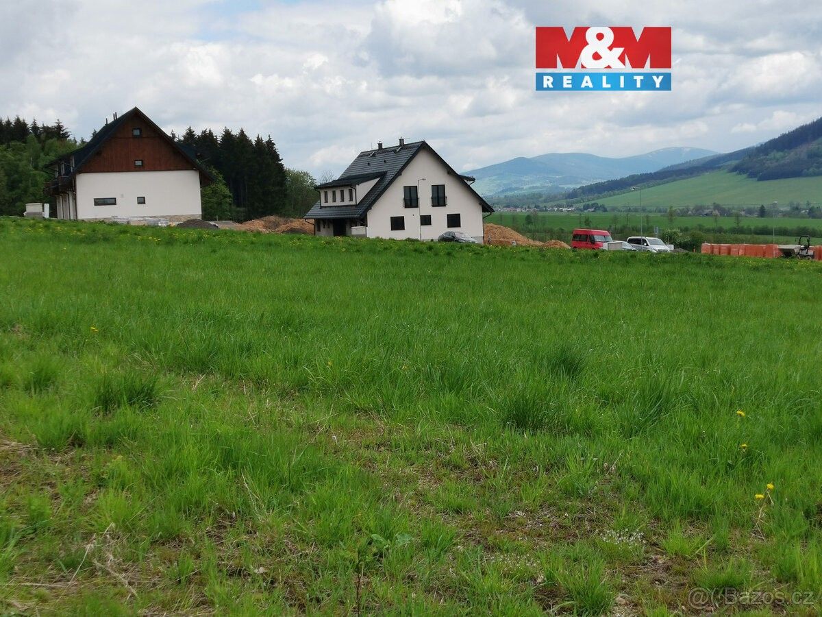 Pozemky pro bydlení, Červená Voda, 561 61