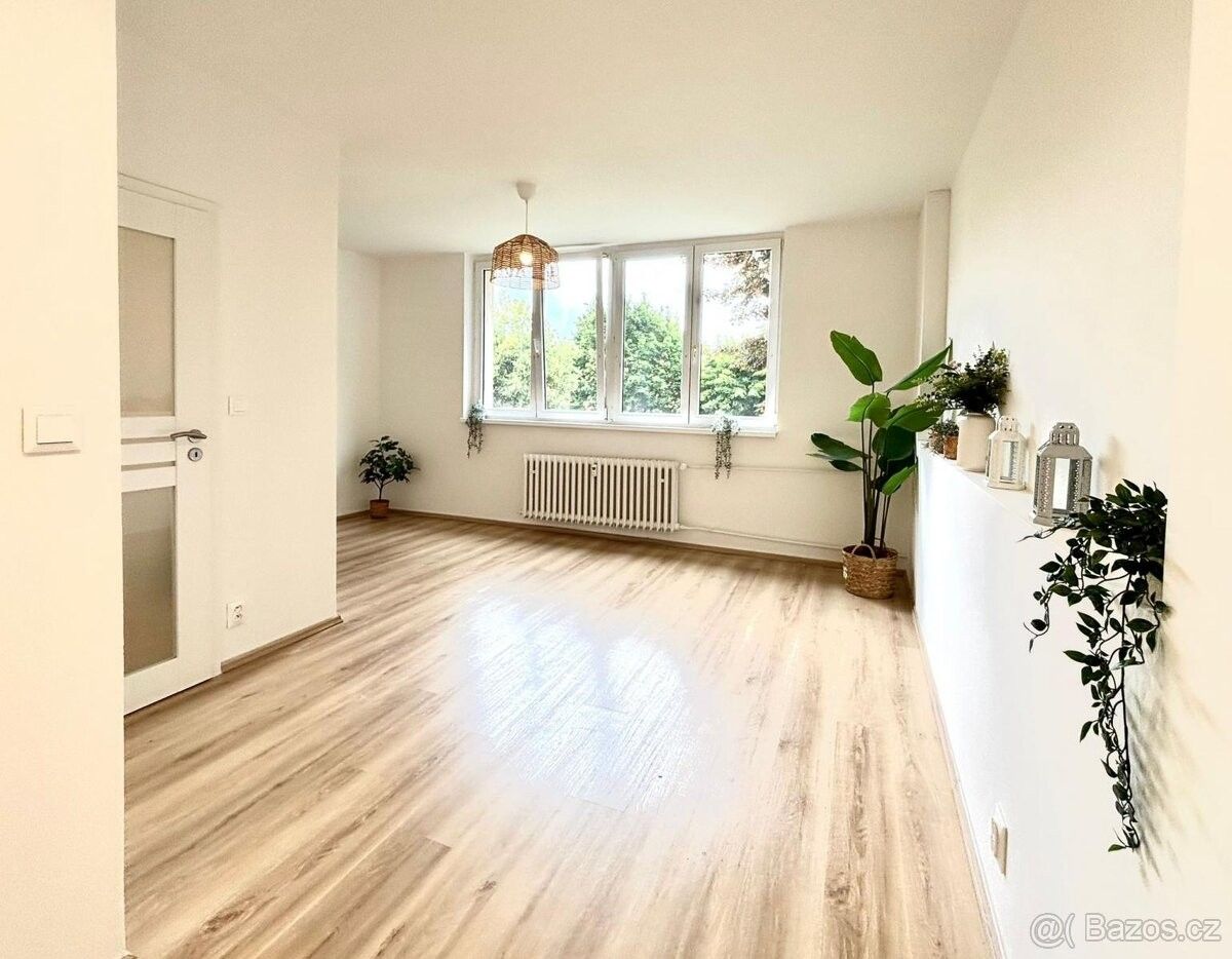 Byty, Meziboří u Litvínova, 435 13