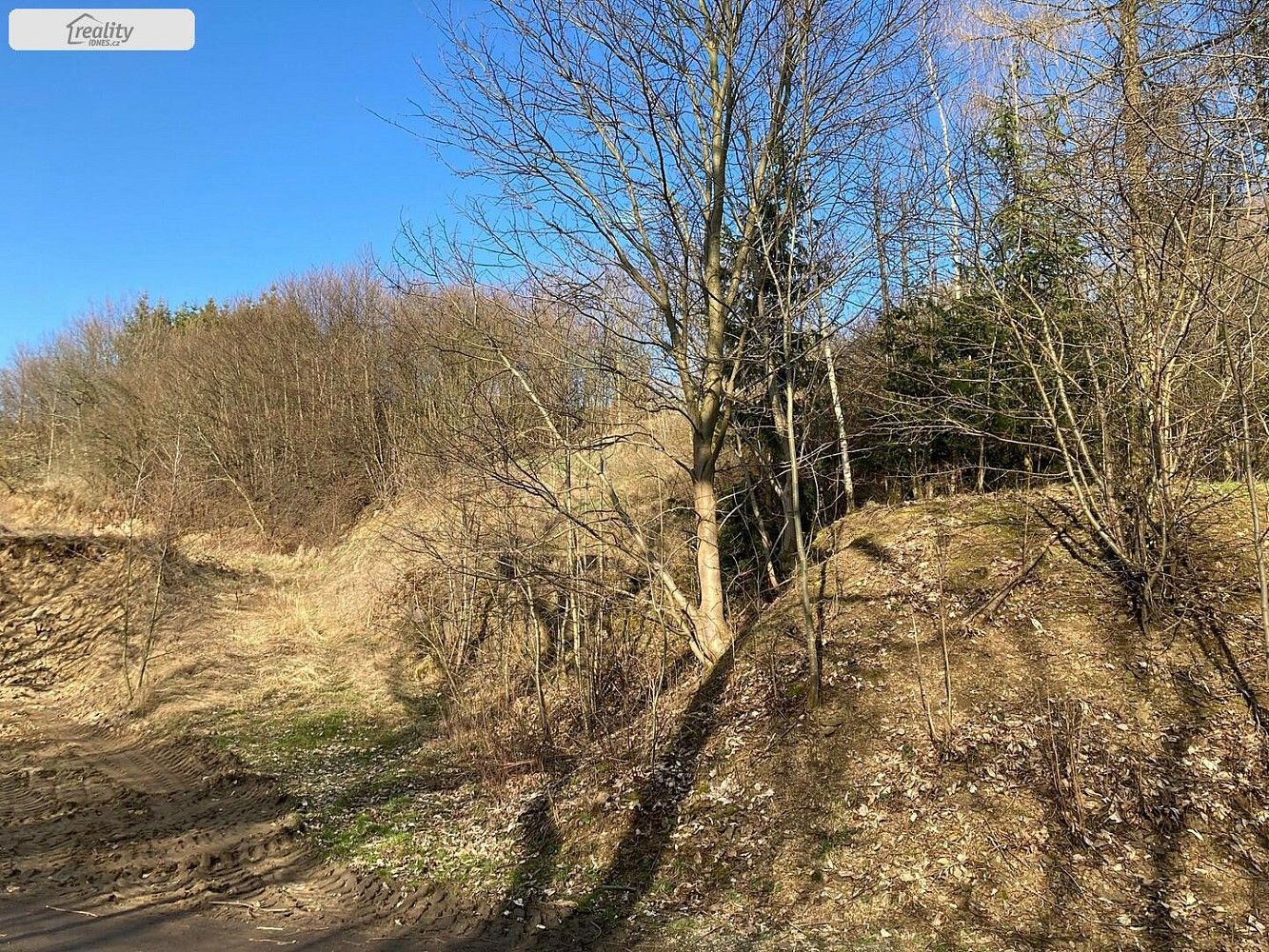 Pozemek · Nová Říše, okres Jihlava, Kraj Vysočina - 3