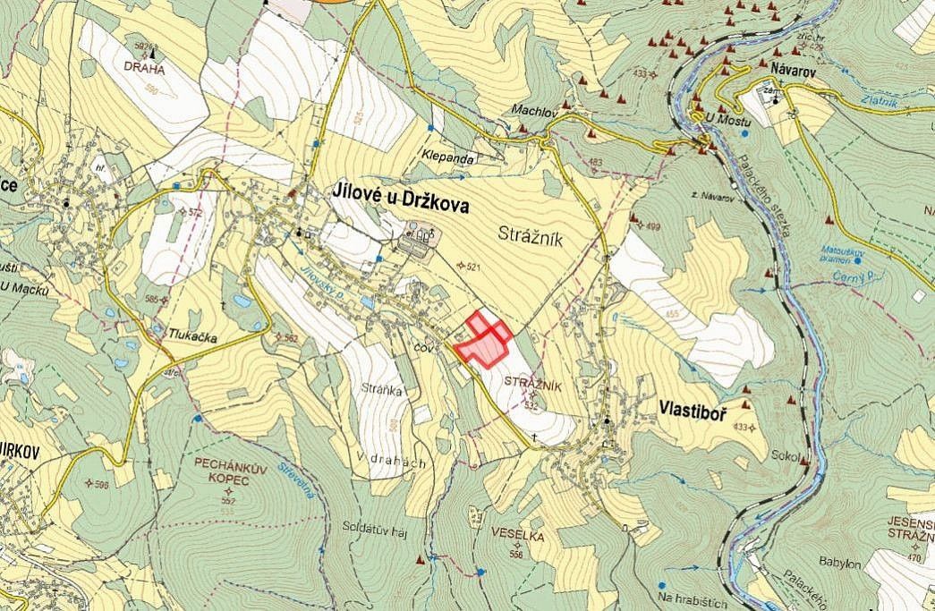 Prodej louka - Jílové u Držkova, okres Jablonec nad Nisou, Liberecký kraj - 2