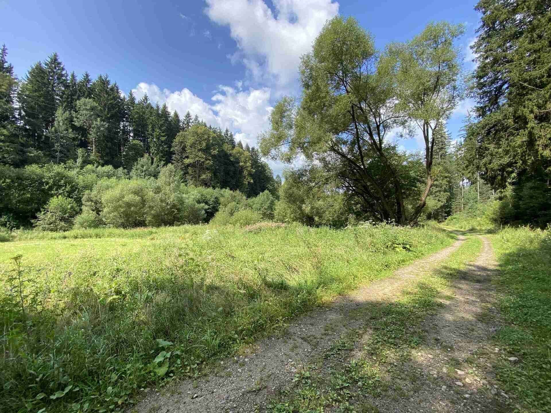 Prodej zemědělský pozemek - Blansko, Kaplice, 843 m²