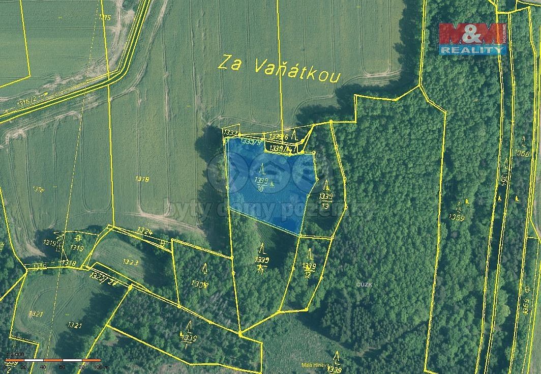 Lesy, Skály, okres Písek, Jihočeský kraj - 2