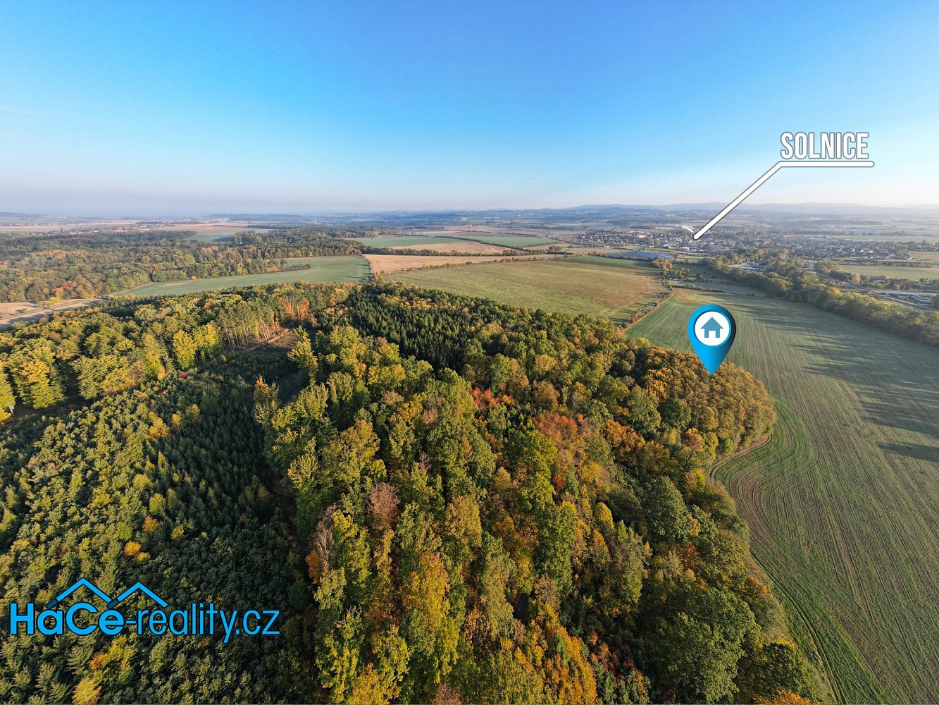Prodej les - Solnice, okres Rychnov nad Kněžnou - 5