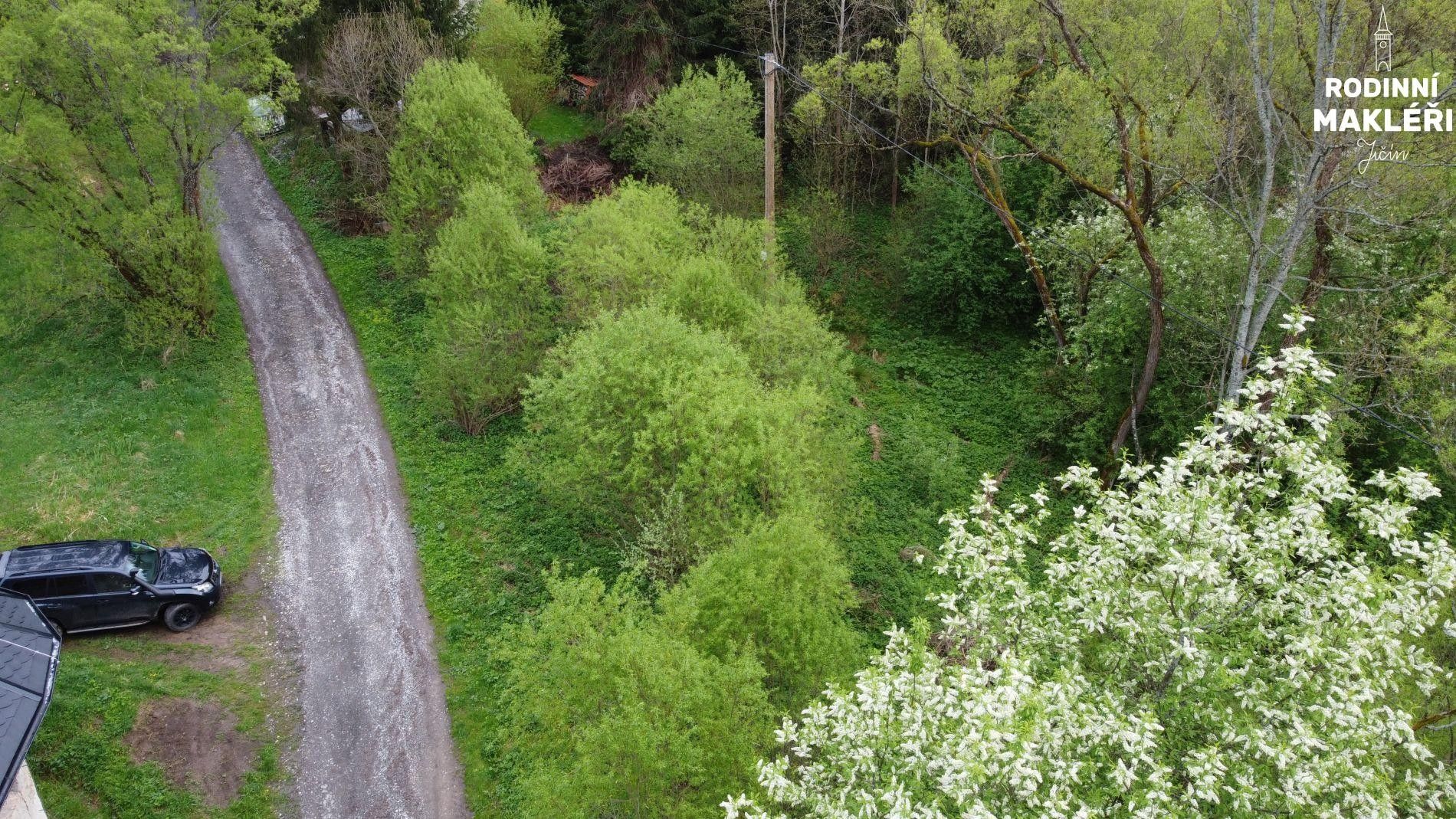 Prodej louka - Potůčník, Hanušovice, 1 m²