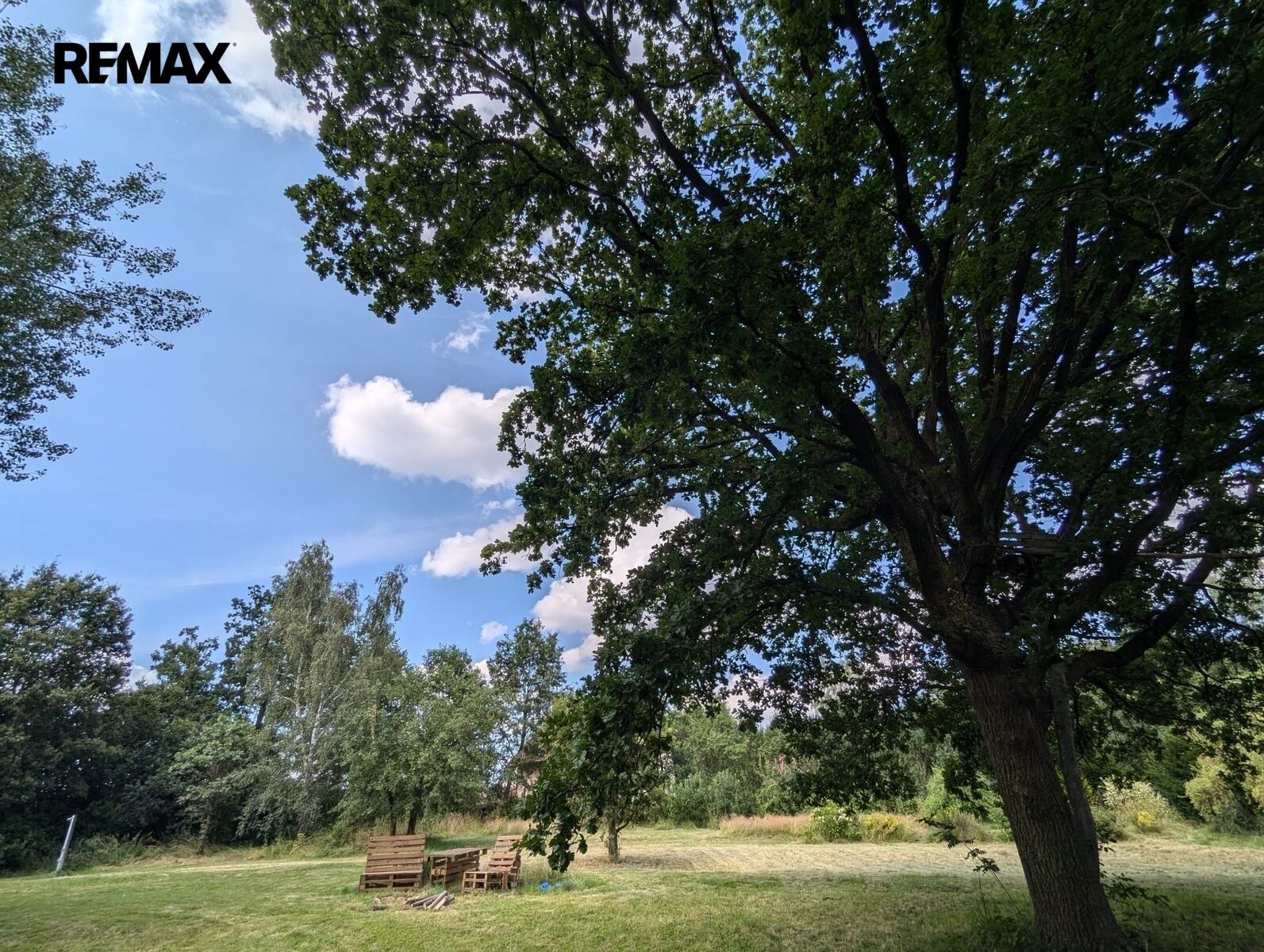 Prodej pozemek pro bydlení - Blažejovice, 3 609 m² - 5