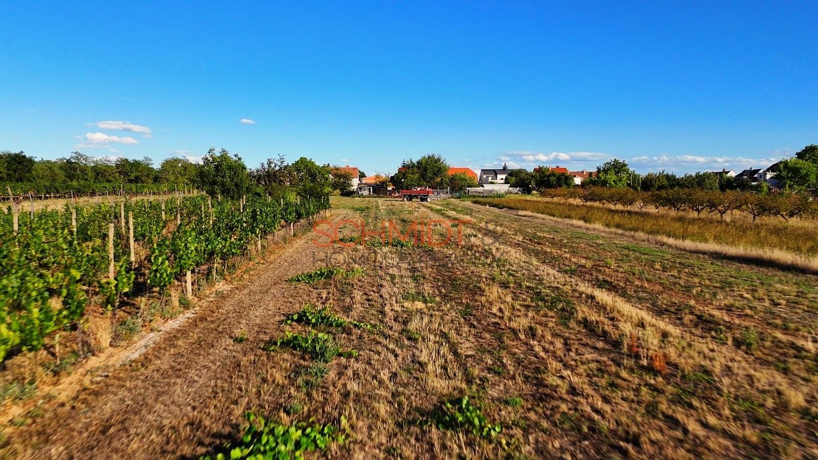 Prodej pozemek pro bydlení - Vinohrady, Lanžhot, okres Břeclav - 5