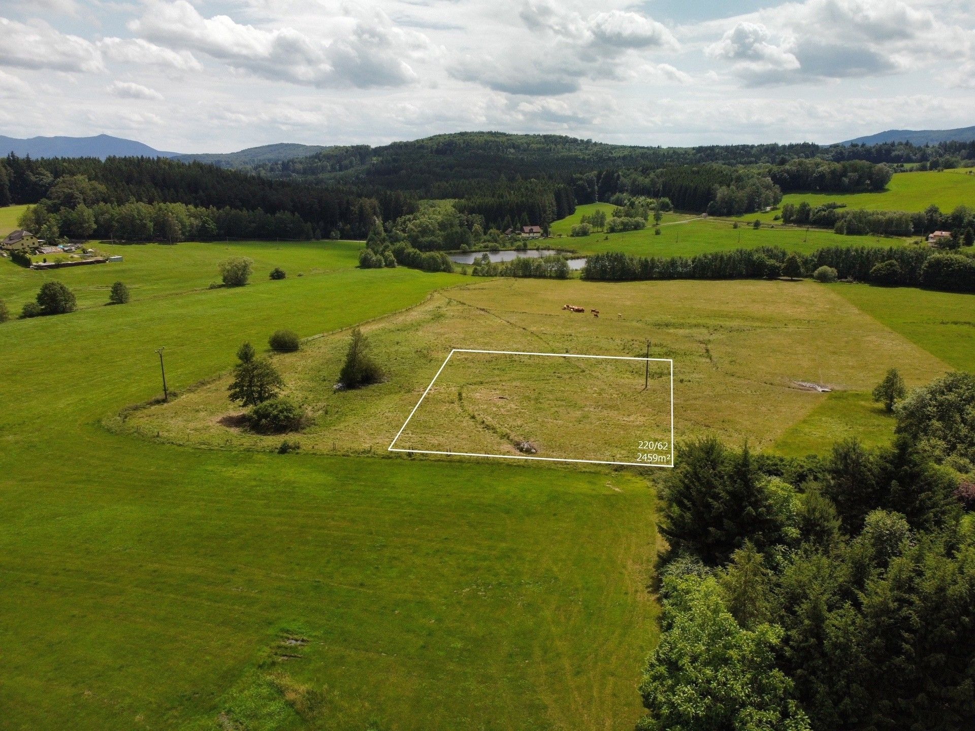 Prodej pozemek pro bydlení - Česká Kubice Starý Spálenec - 2