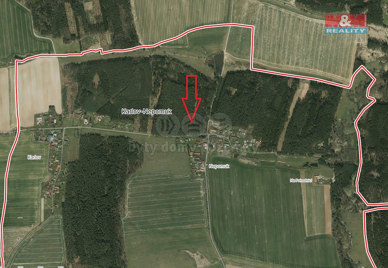 Lesy, Dražíč, okres České Budějovice, Jihočeský kraj - 2