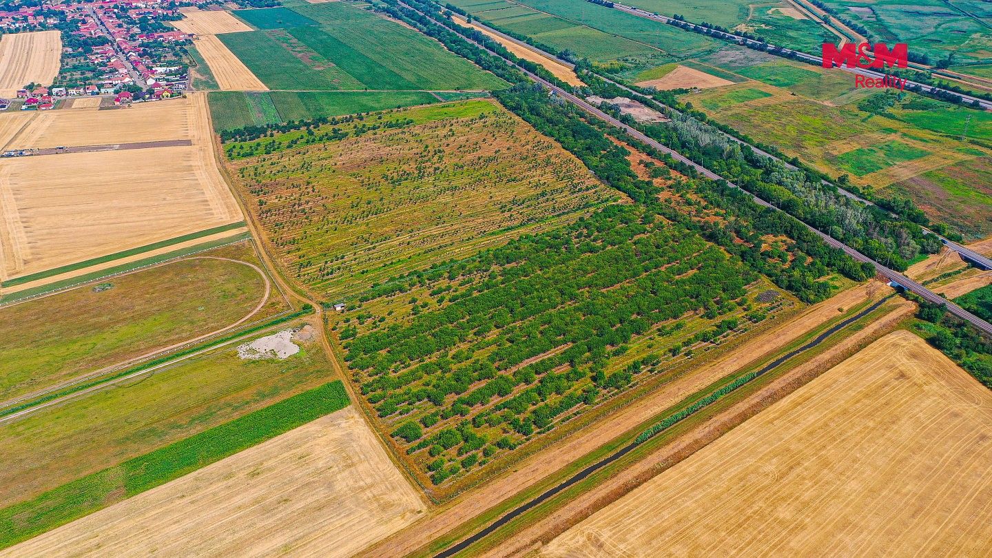 Zemědělský pozemek · Rakvice, okres Břeclav, Jihomoravský kraj - 3