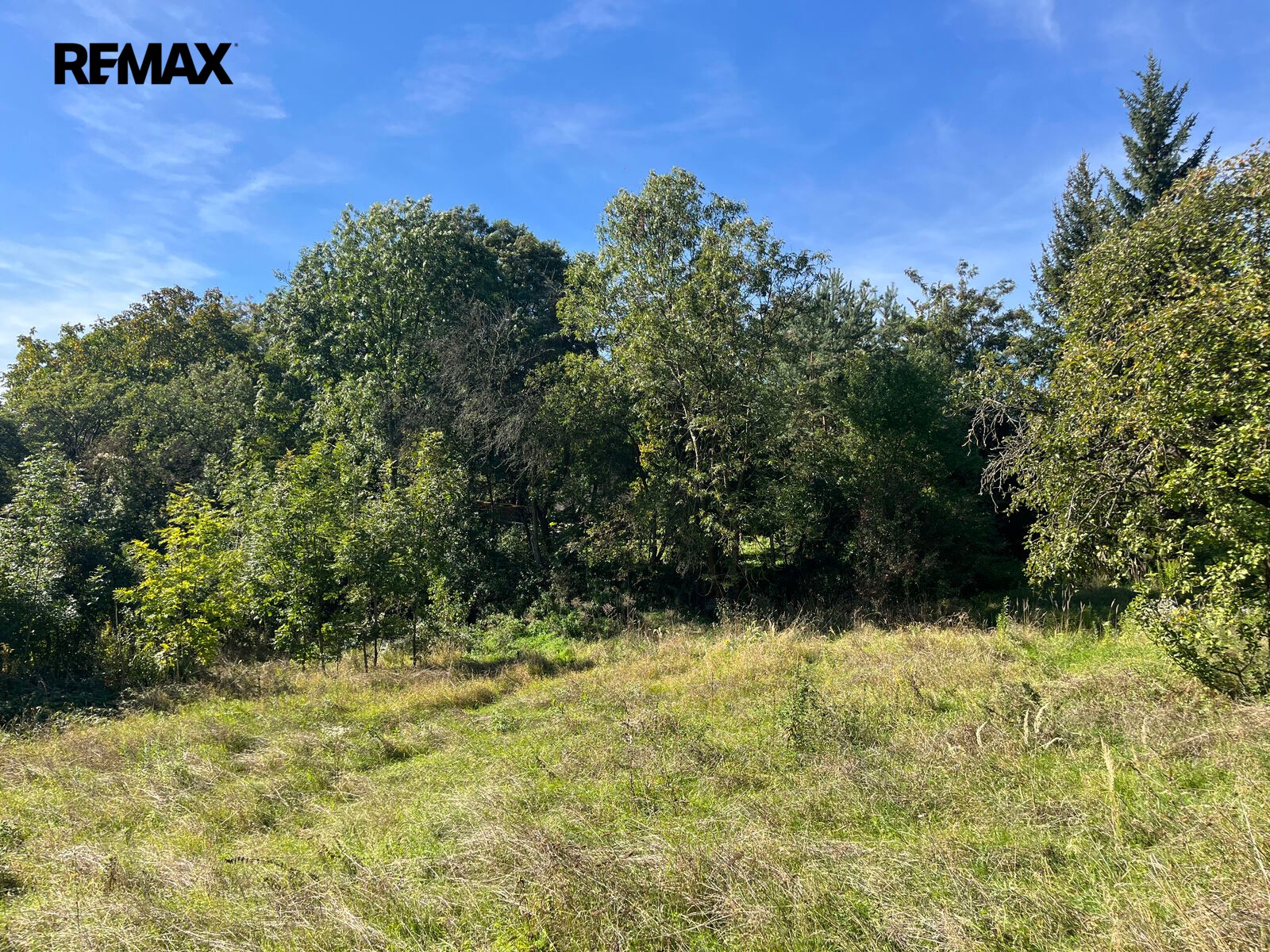 Pozemek pro bydlení · 2 157 m² · Řepín - 4
