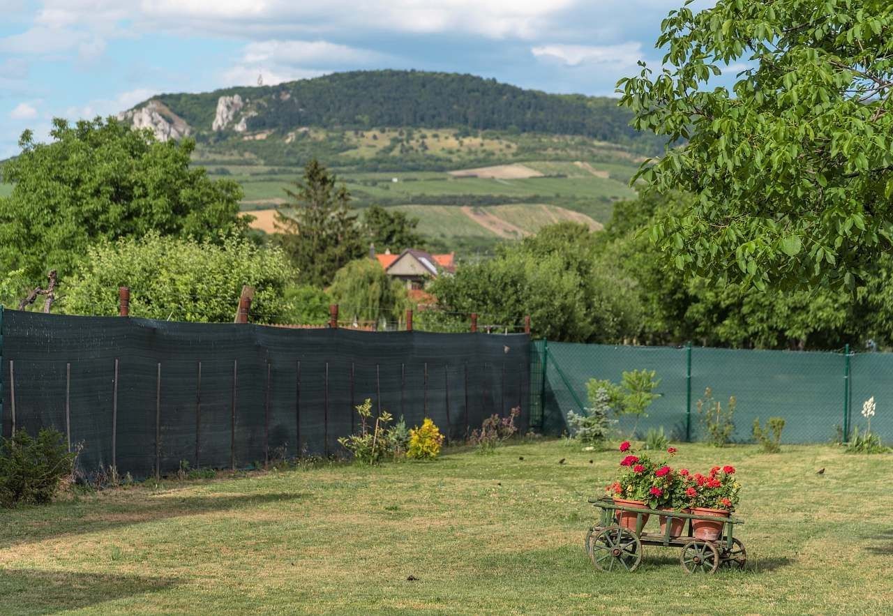 Chata · Dolní Dunajovice, Jihomoravský kraj - 3