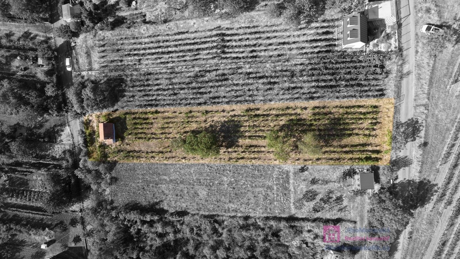 Prodej zahrada - Nová, Mikulov, 1 256 m² - 5