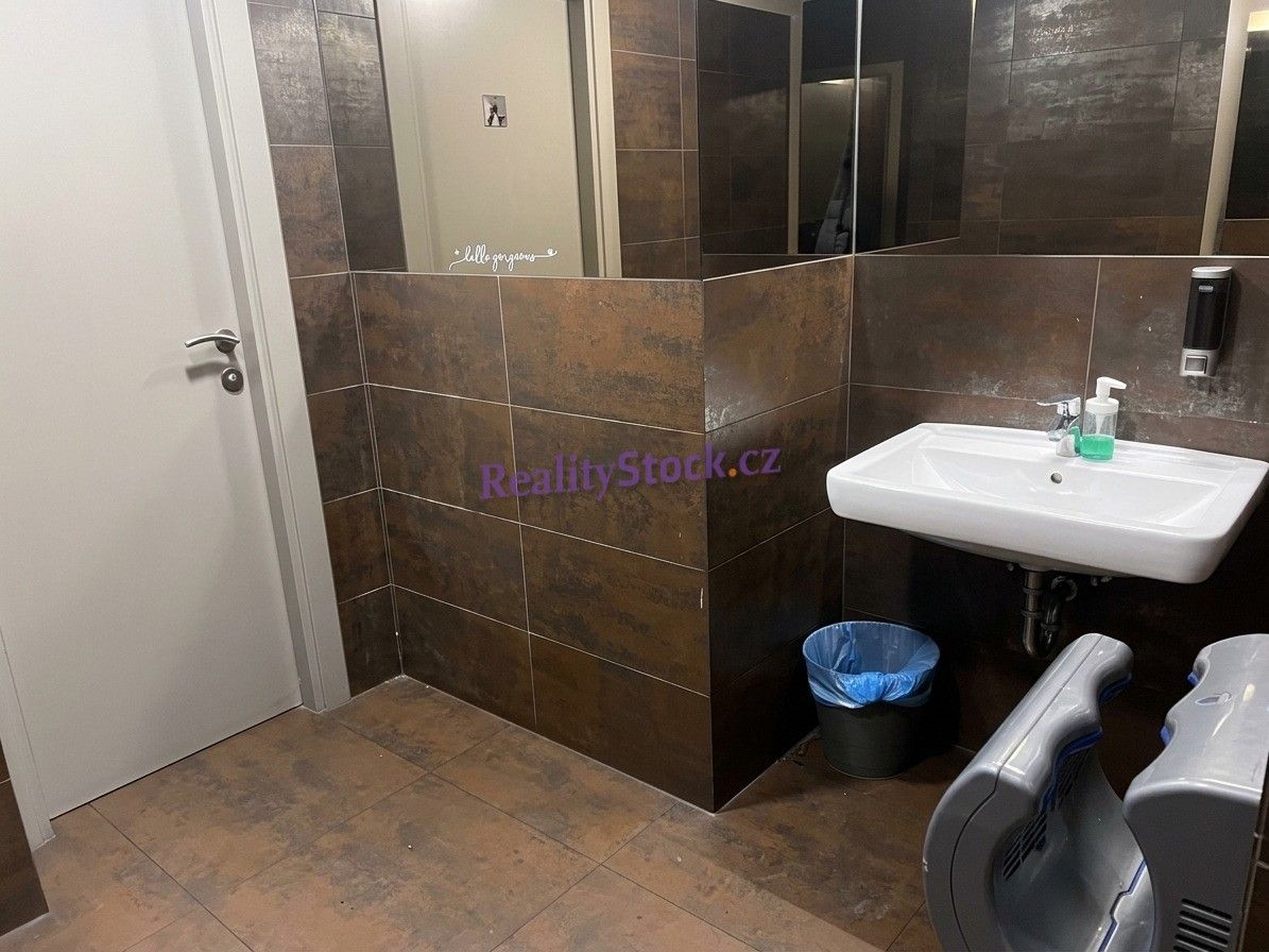 Pronájem obchodní prostory - Václavské náměstí, Praha, 200 m² - 5