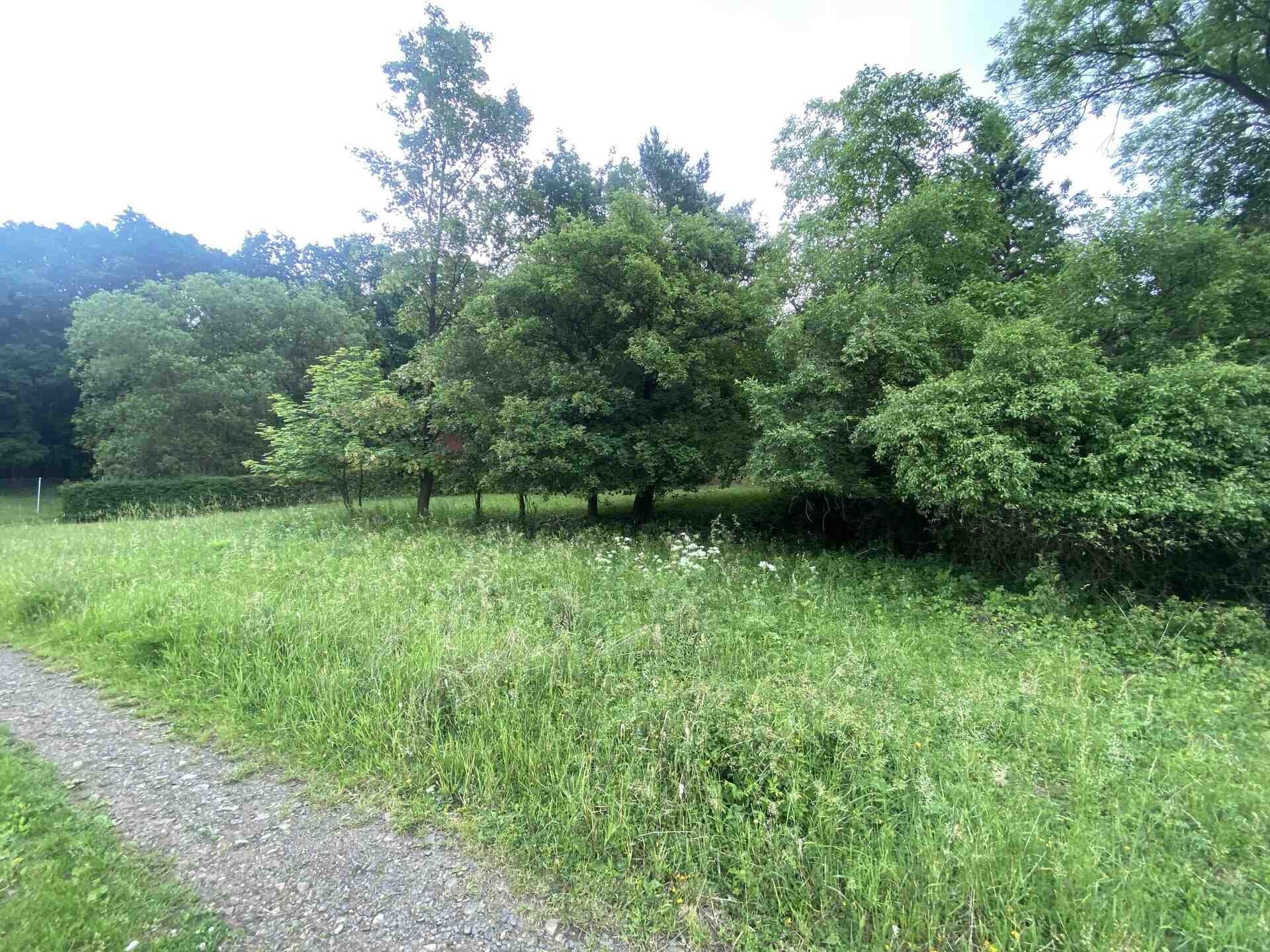 Louka · 343 m² · Třebívlice Skalice - 4