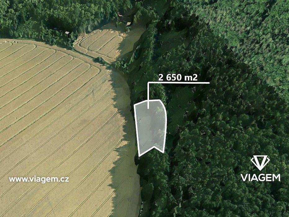 Zemědělský pozemek, 2 650 m²