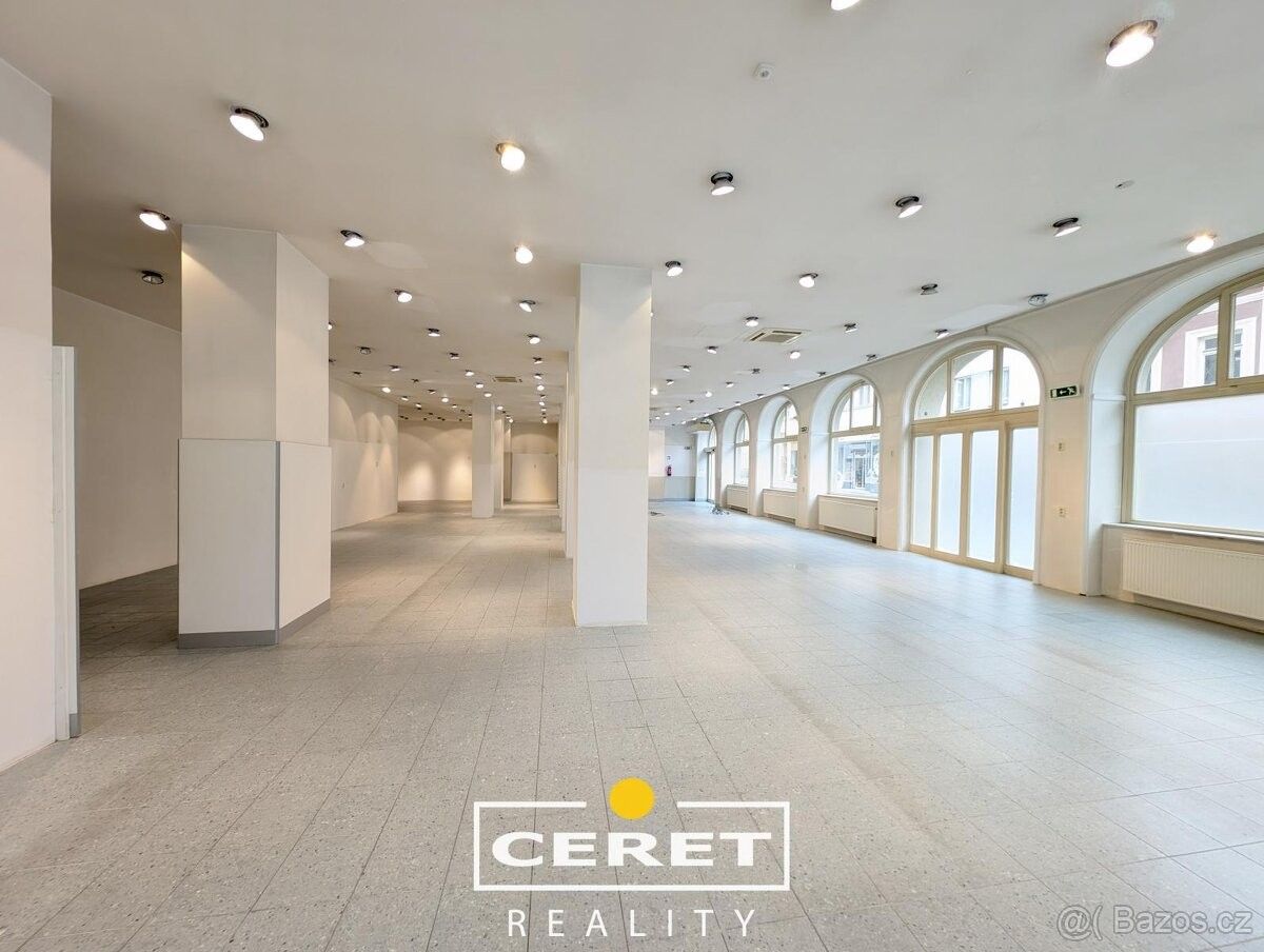 Pronájem obchodní prostory - Žatec, 438 01