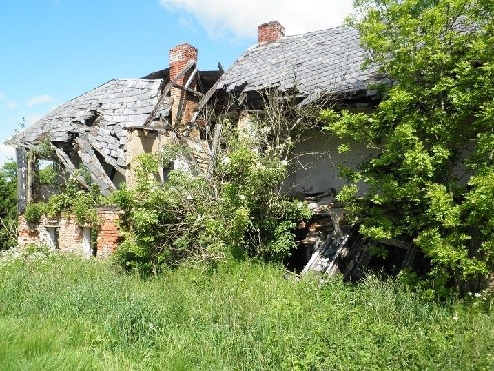 Pozemky pro bydlení, Království, Šluknov, 2 313 m²