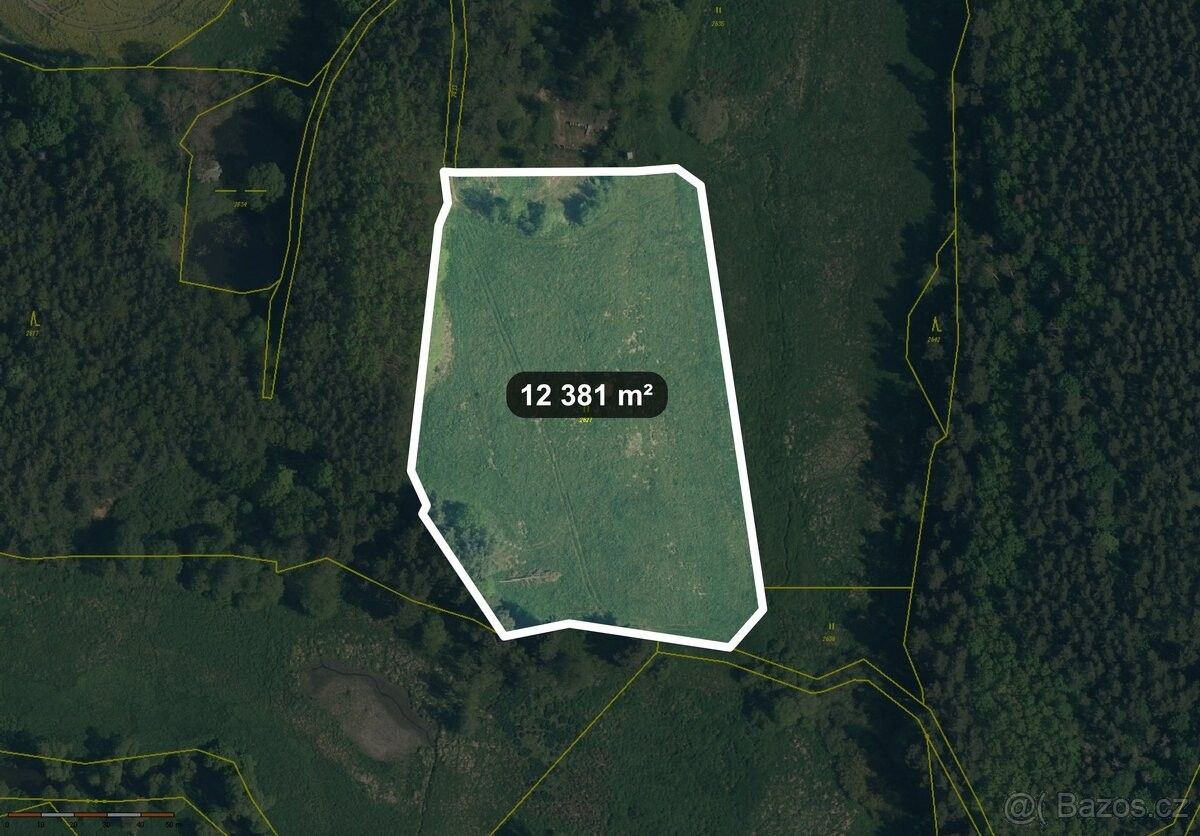 Prodej zemědělský pozemek - Tachov, 347 01, 12 381 m²