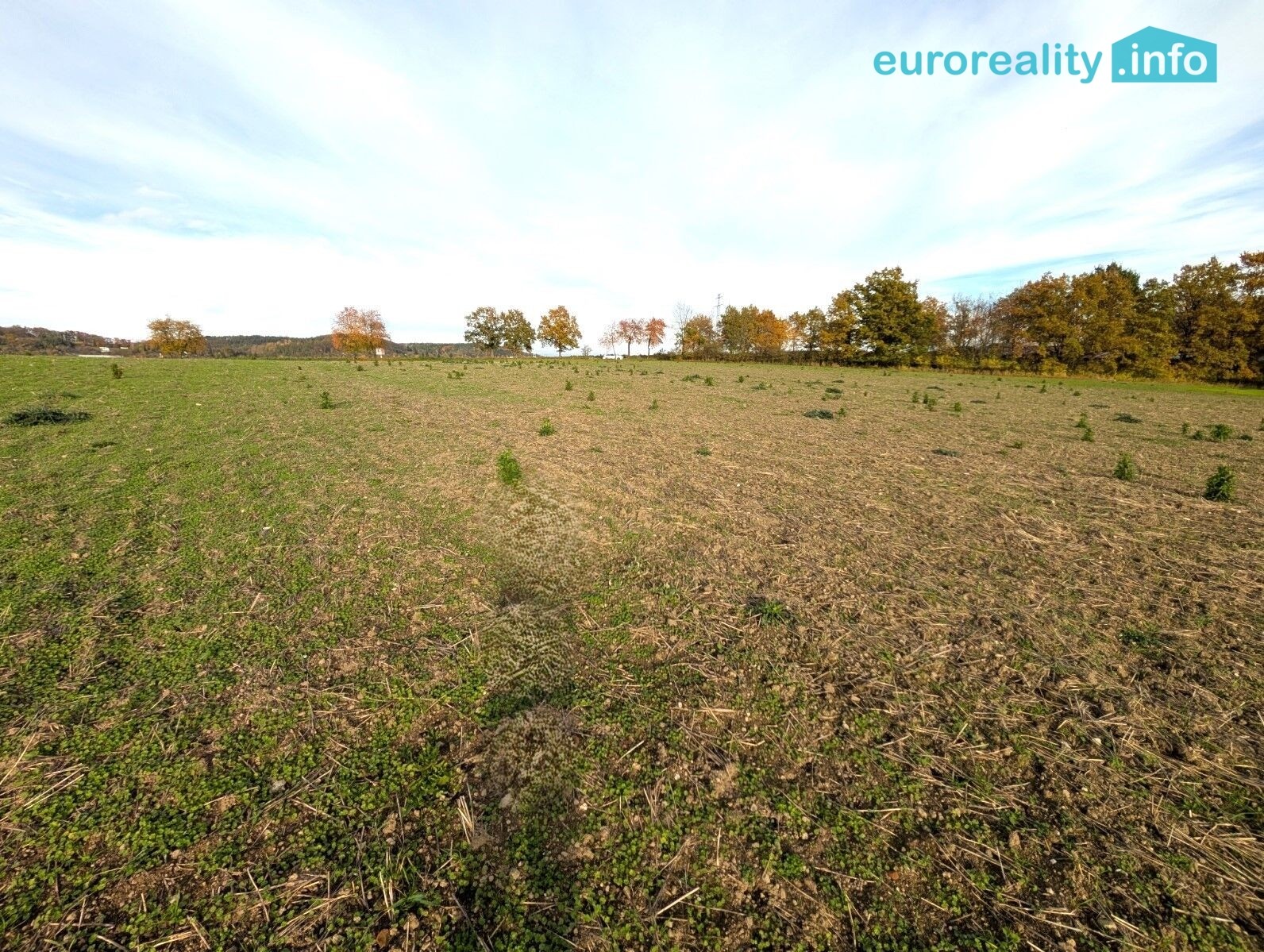 Pozemek pro bydlení · 3 986 m² · Strakonice - 4
