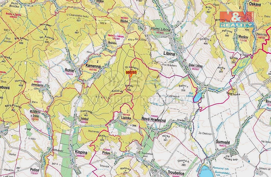 Les · Nová Hradečná, okres Olomouc - 3