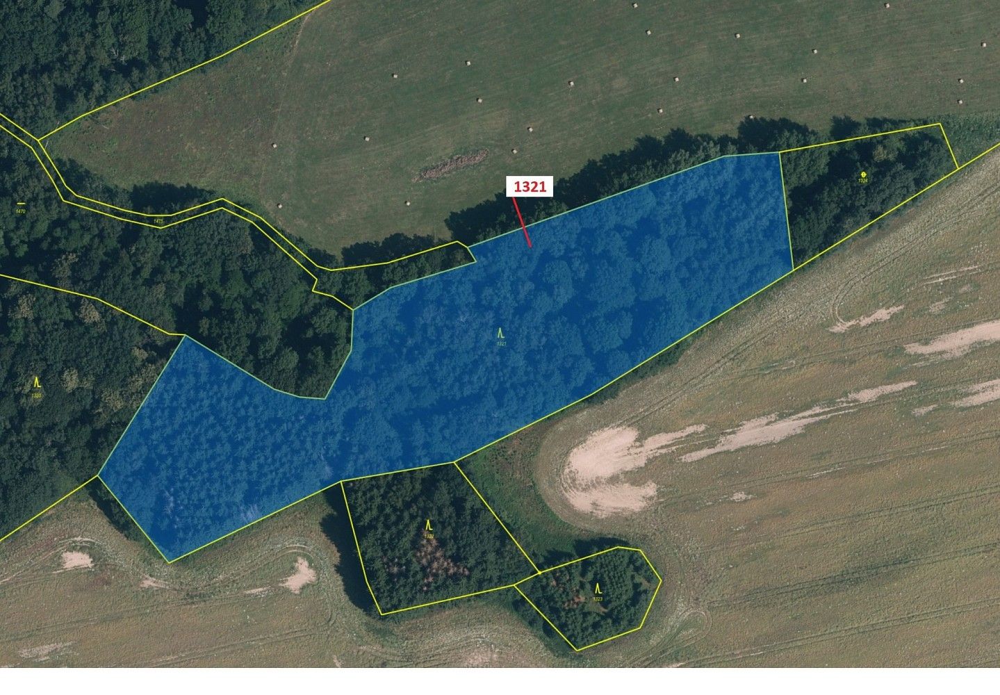 Prodej les - Pertoltice, okres Liberec, Liberecký kraj - 2