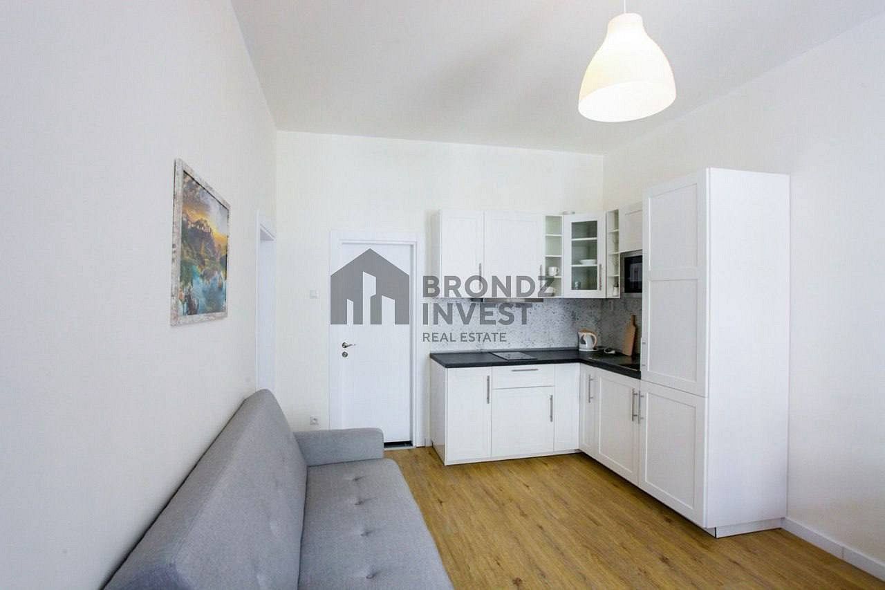 2+kk, Praha, okres Praha 3, Hlavní město Praha, 40 m² - 2