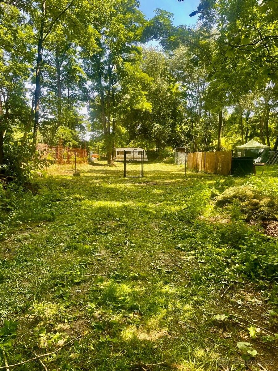 Zahrady, Veltrusy, 277 46