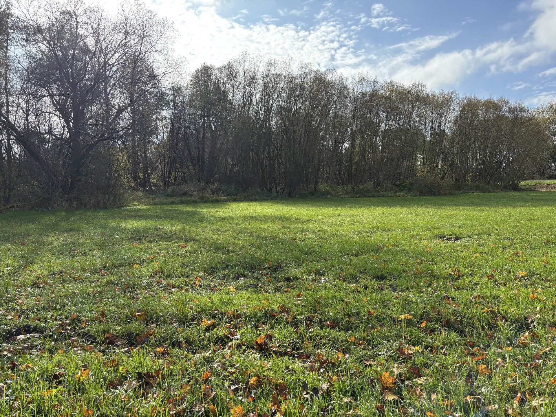Zemědělský pozemek · Janovice nad Úhlavou Veselí - 3