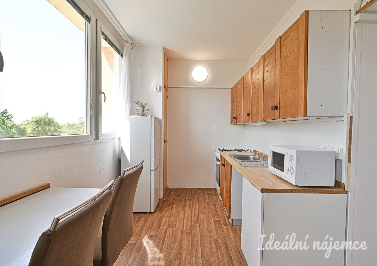 1+1, Ibsenova, Brno, 35 m² - 2