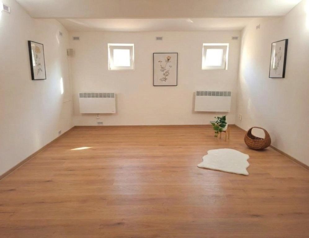 Obchodní prostory, Rokycanova 1278, Brno Židenice, 62 m² - 2