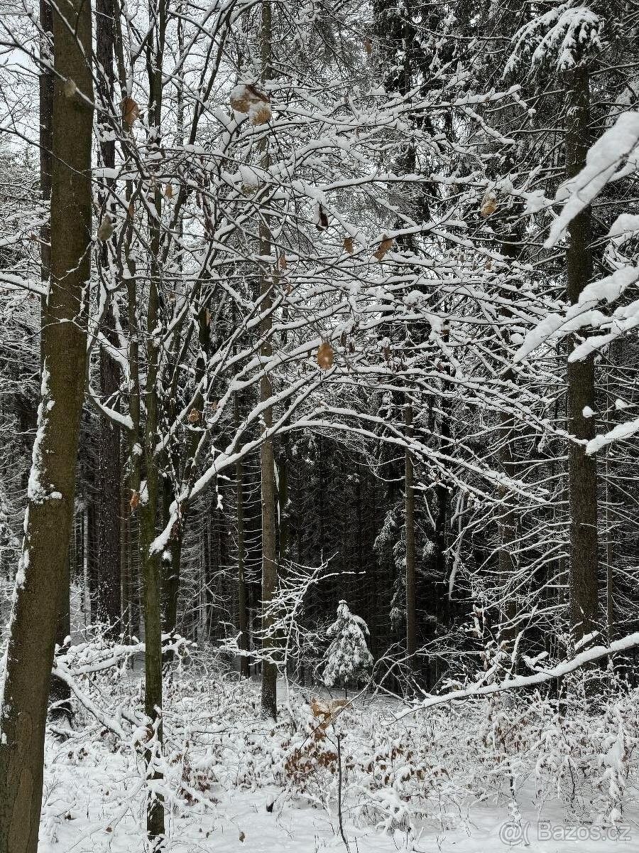 Prodej pozemek pro bydlení - Železný Brod, 468 22
