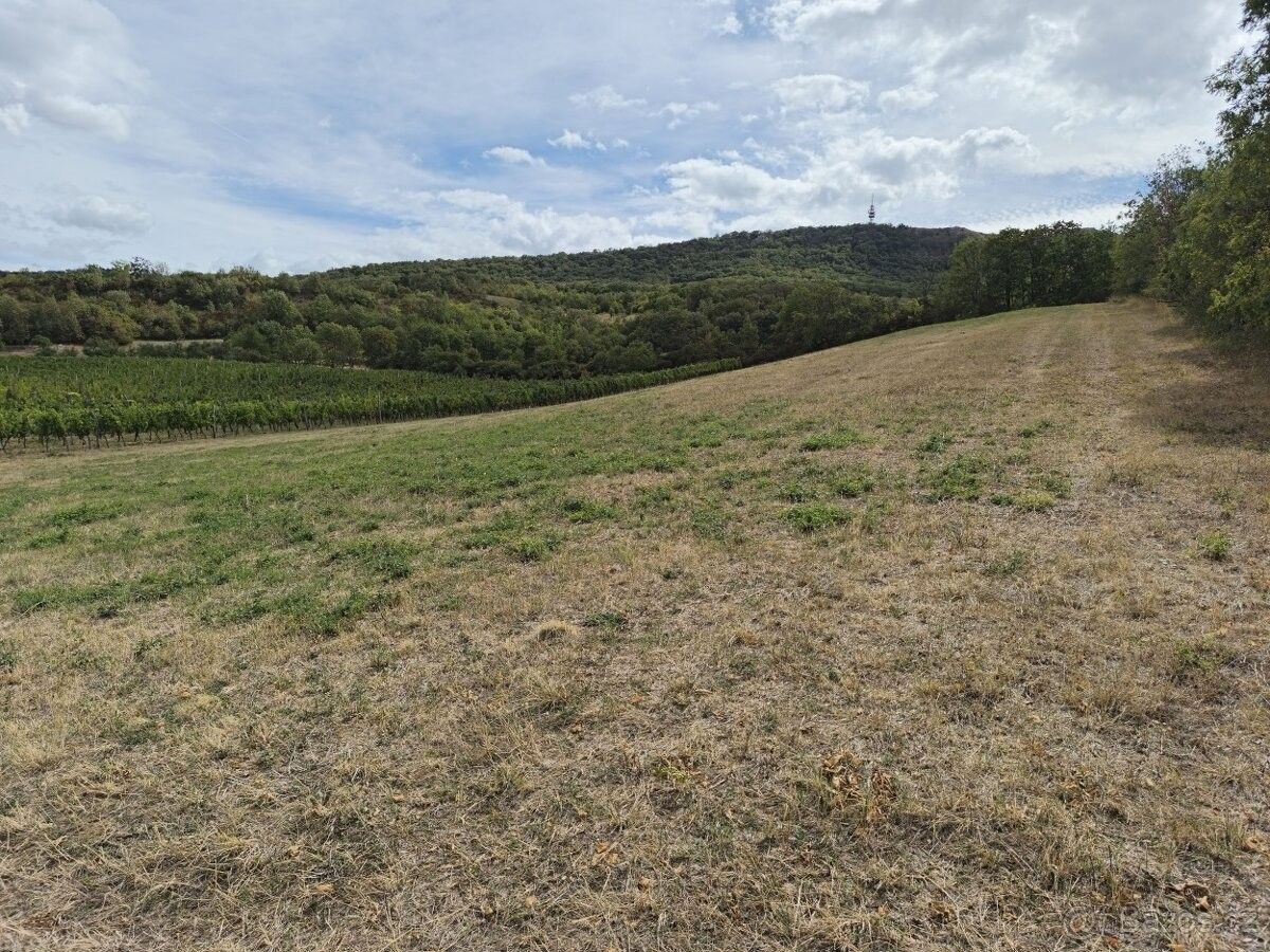 Pozemky pro bydlení, Březí u Mikulova, 691 81