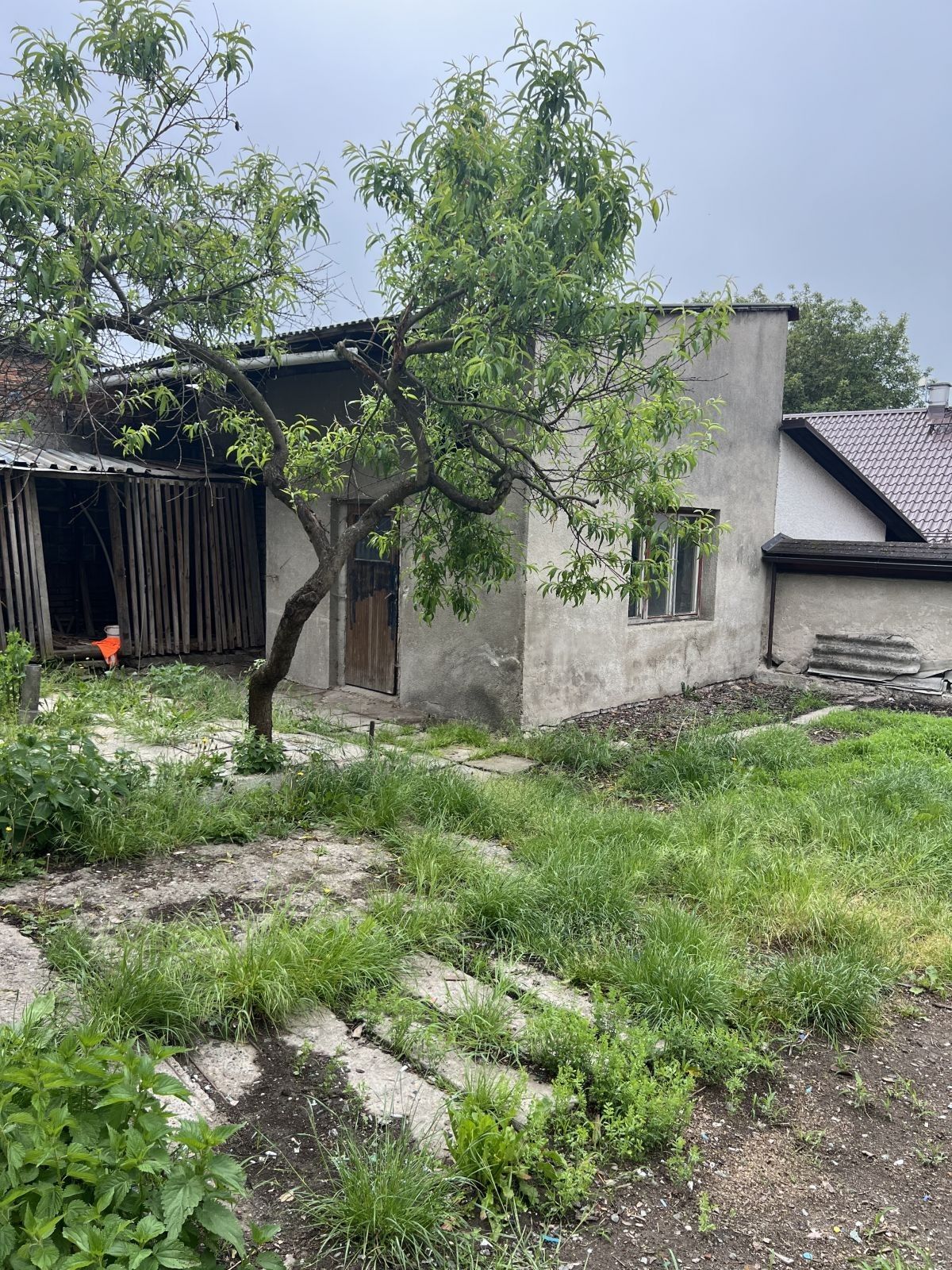Rodinný dům · 200 m² · Sv. Čecha, Opočno - 4