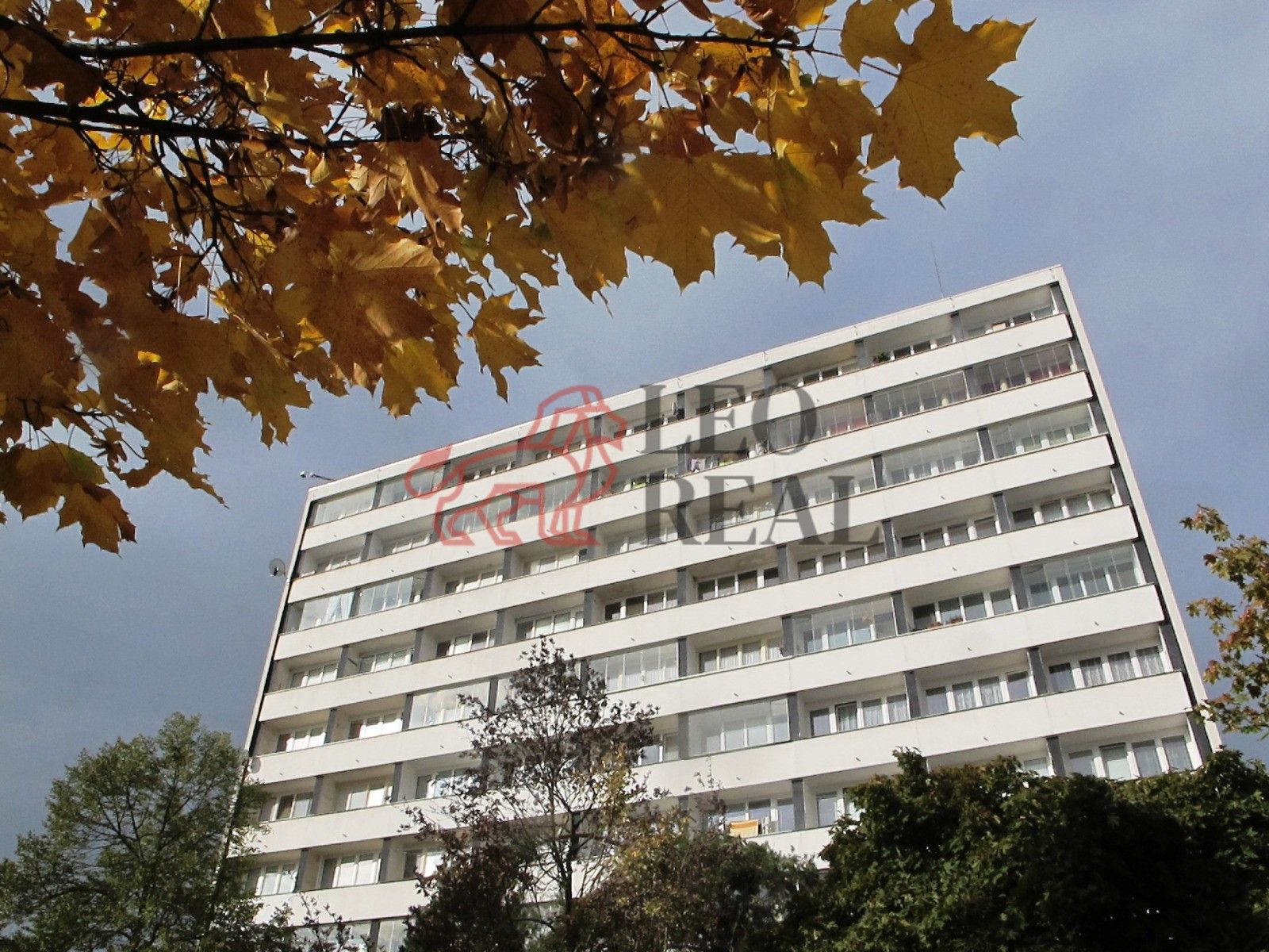 1+kk, Jičínská, Mladá Boleslav, 38 m²