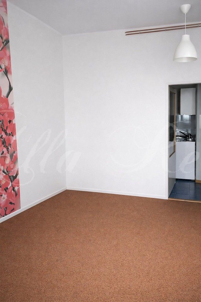 1+1, Brno - Veveří, okres Brno-město, Jihomoravský kraj, 35 m² - 2