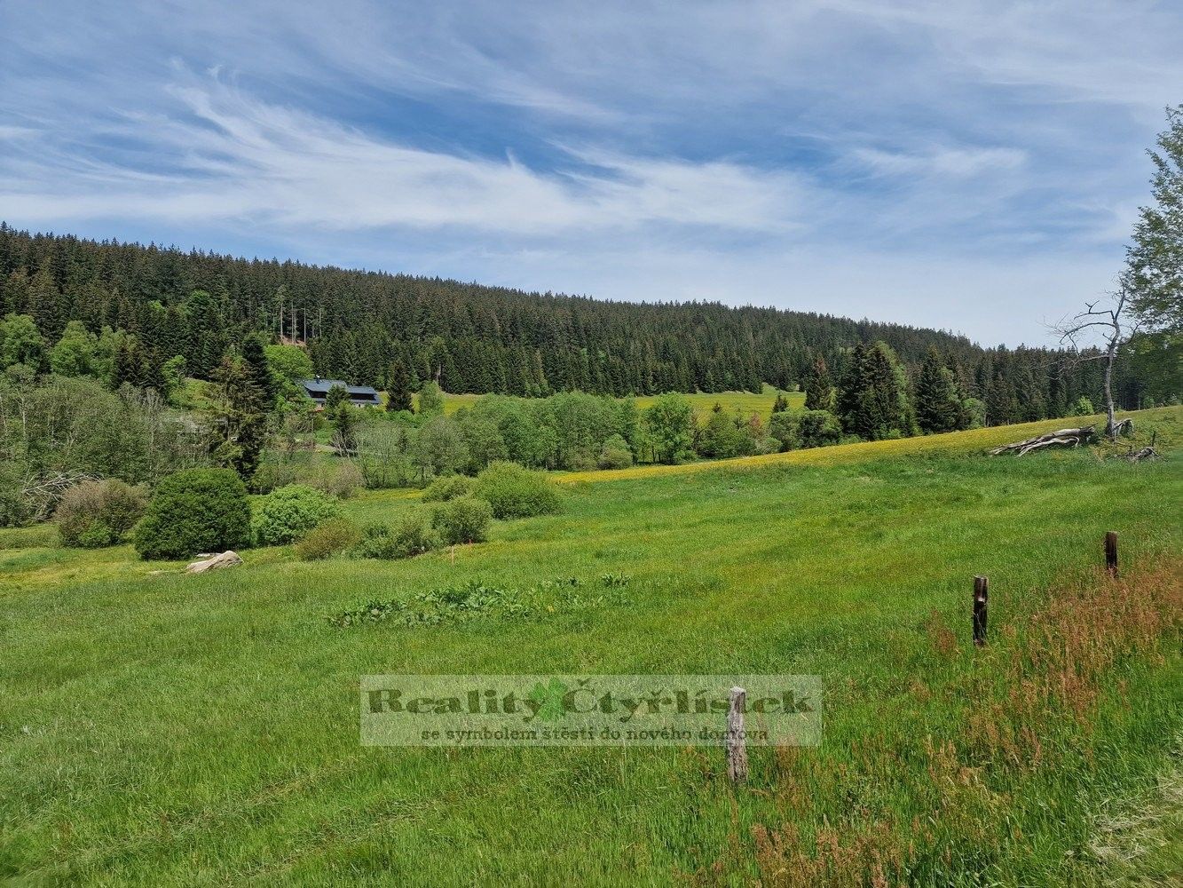 Prodej komerční pozemek - Pancíř, Železná Ruda