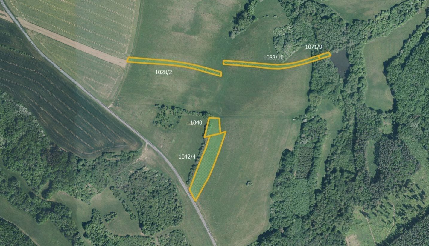 Prodej louka - Částkov