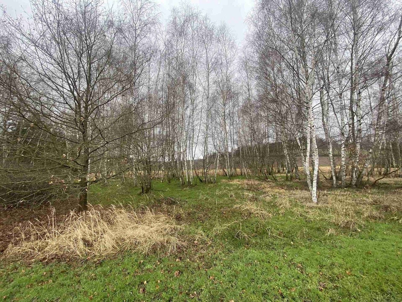 Ostatní, Hosín - Dobřejovice, okres České Budějovice, Jihočeský kraj - 1
