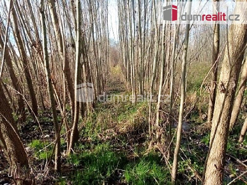 Louky, Buřenice, 7 652 m²