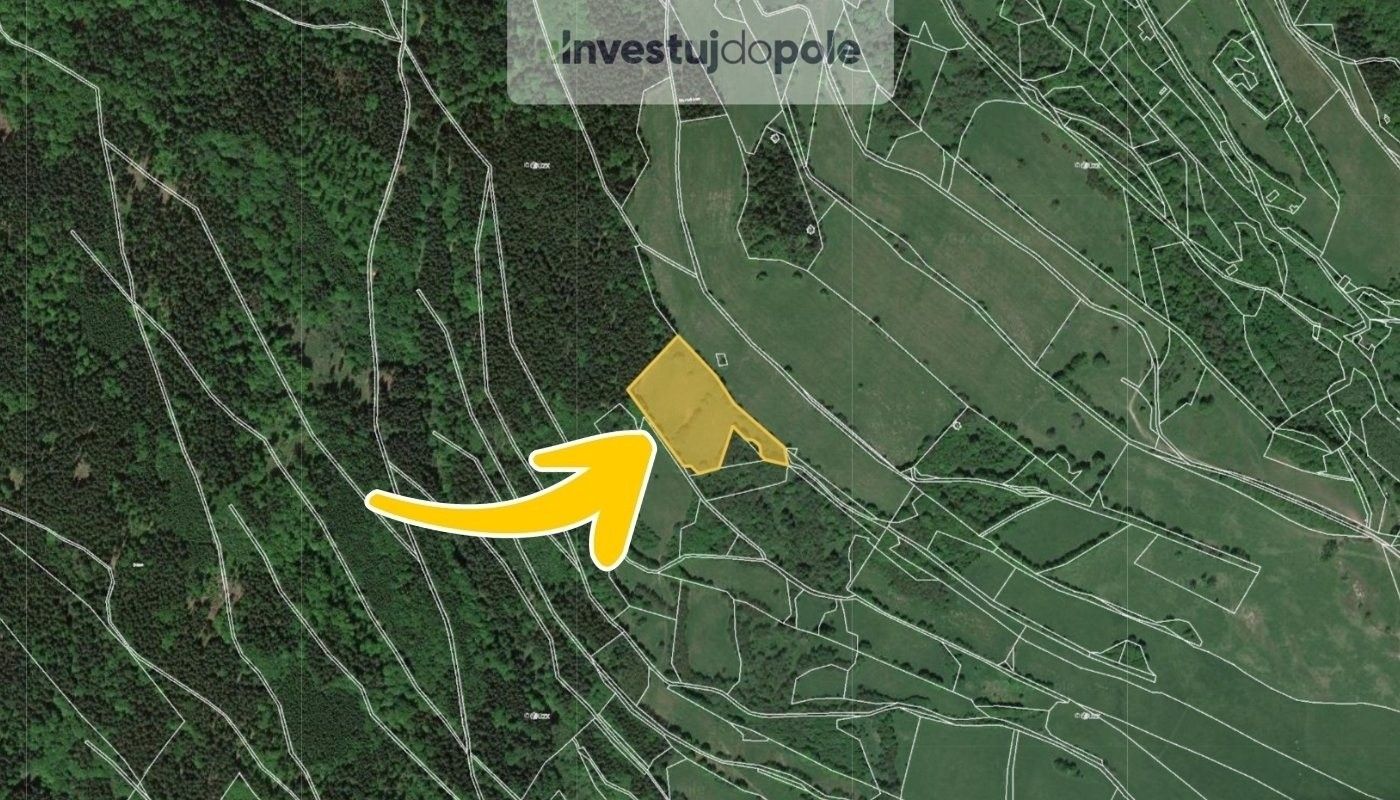 Prodej louka - Babí, Trutnov