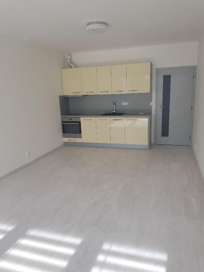Pronájem byt 1+kk - Markůvky, Brno, 50 m²