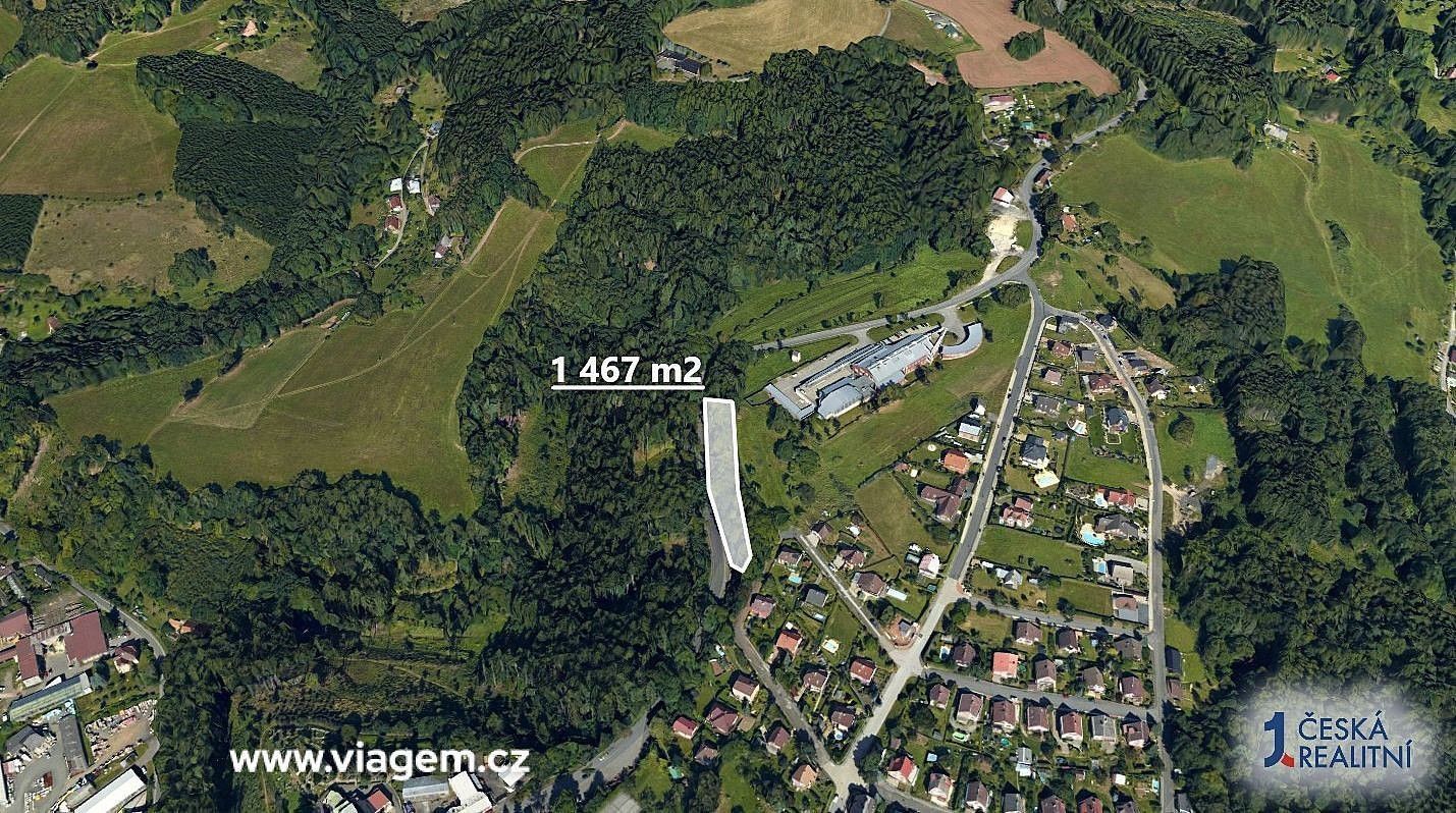 Prodej les - Semily, Liberecký kraj - 2