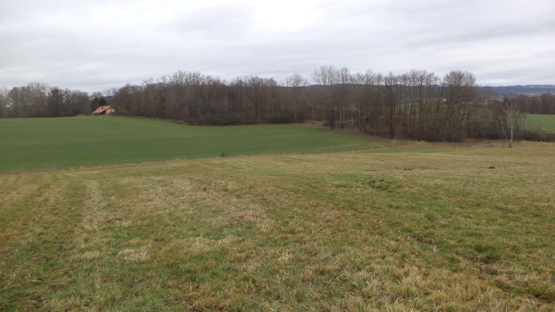 Prodej zemědělský pozemek - Srby, 19 m²