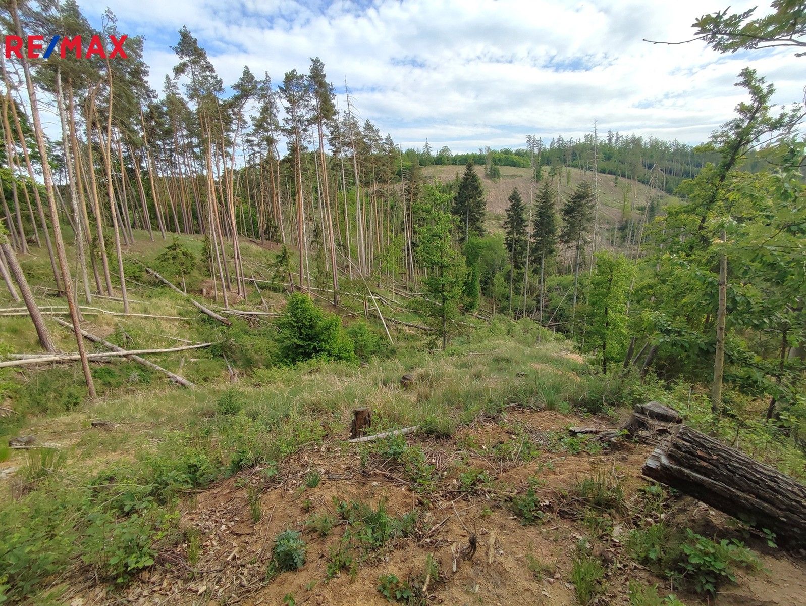 Lesy, Číměř, 1 m²