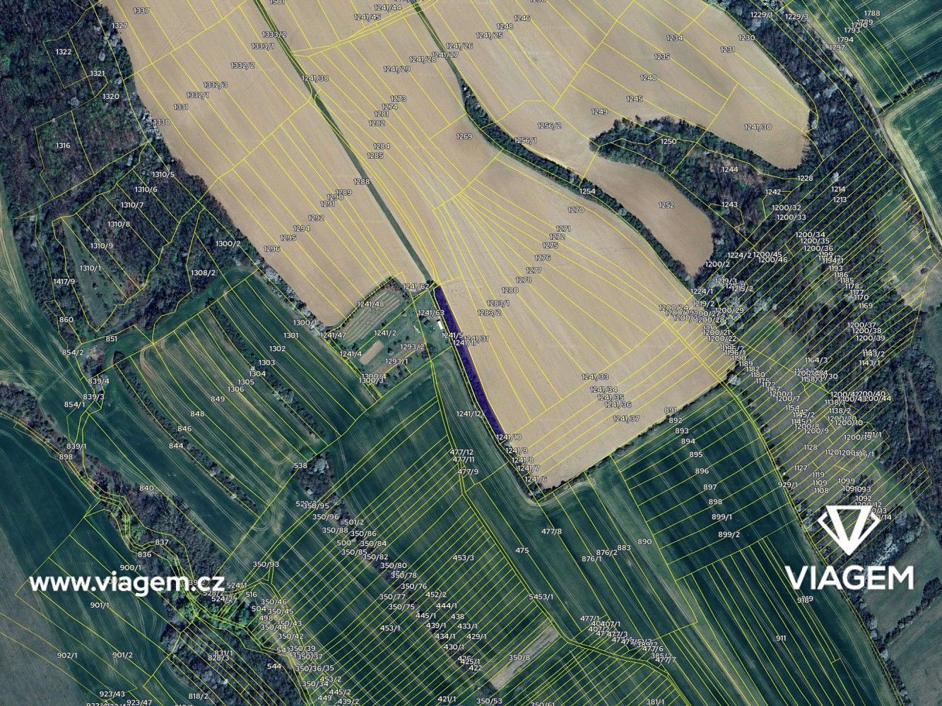 Zemědělský pozemek · Traplice, okres Uherské Hradiště, Zlínský kraj - 4