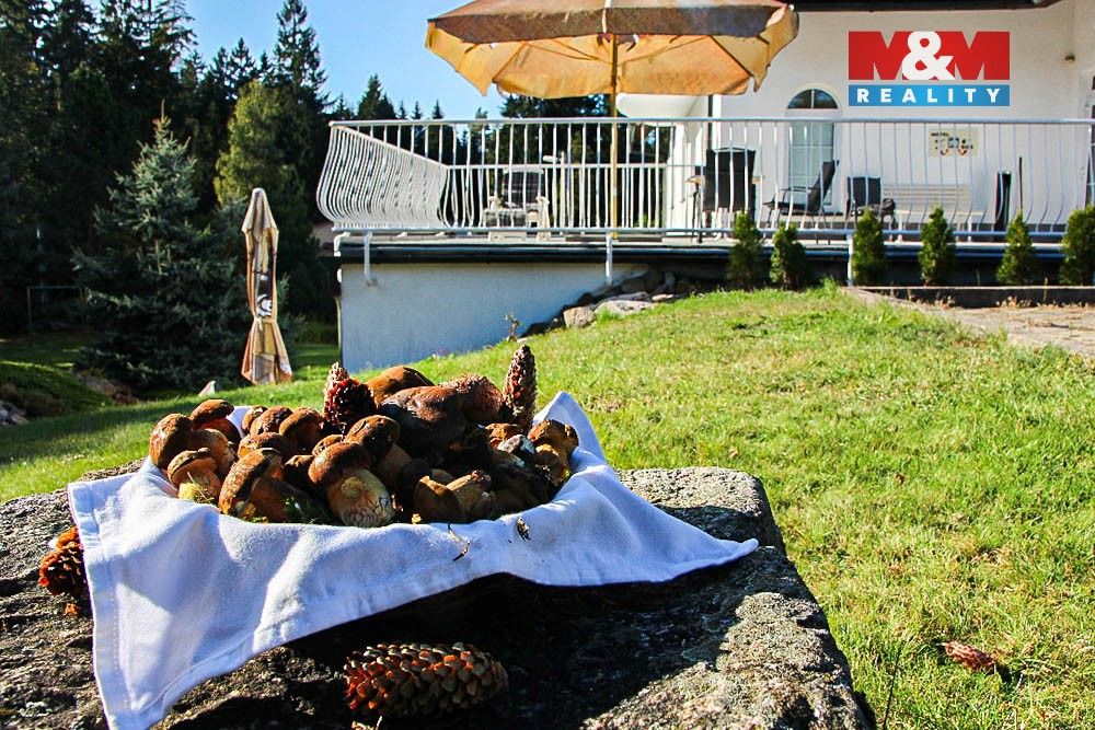 Ubytovací zařízení · 716 m² · Najdek, Hamry nad Sázavou - 4