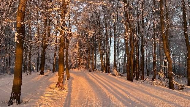 Chaty, Štíty - Heroltice u Štítů, Olomoucký kraj - 2