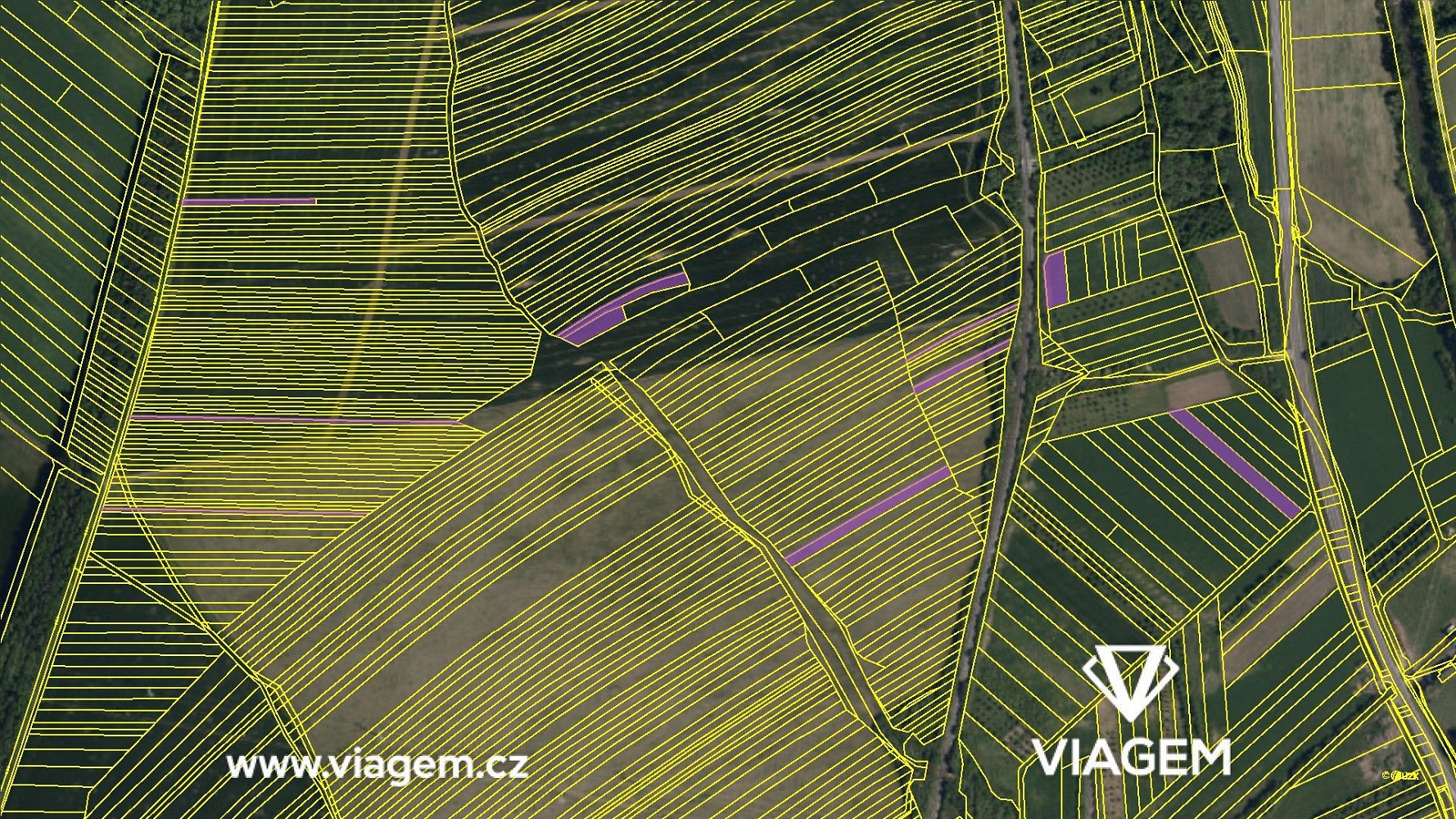Zemědělský pozemek · Velká nad Veličkou, okres Hodonín - 4
