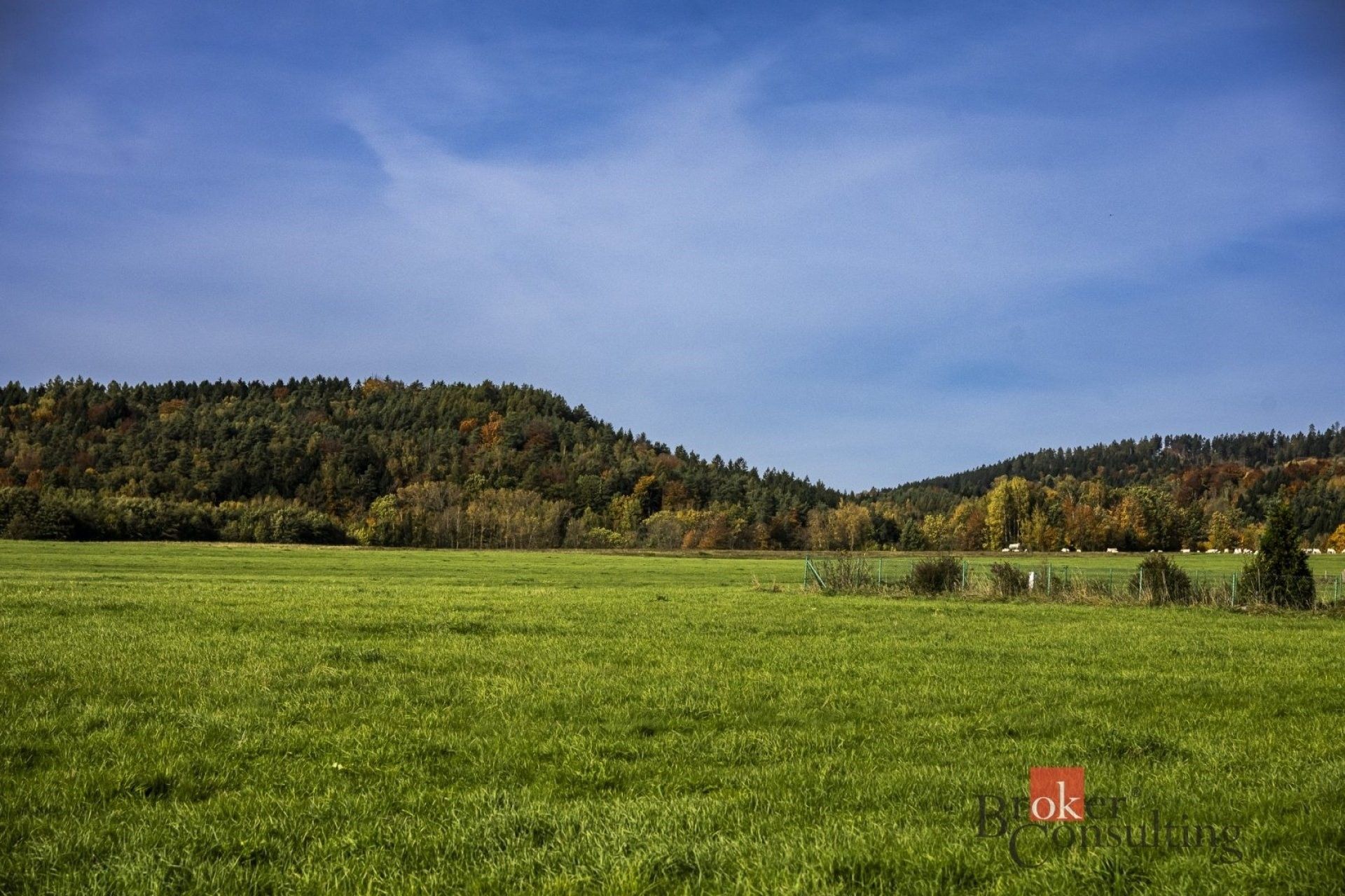 Pozemky pro bydlení, Křižany - 1